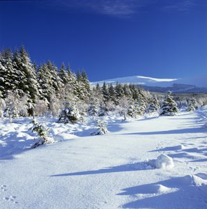 Góry Wicklow zimą autorstwa Unbekannt Unbekannt